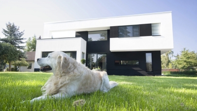 Einfamilienhaus in Magdeburg – Cracau by AI.STUDIO