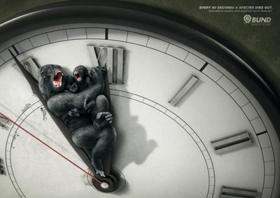 Every 60 Seconds a Species Dies Out!