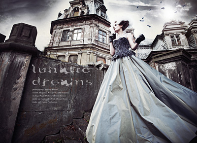 Lunatic Dreams by Maciej Bernas