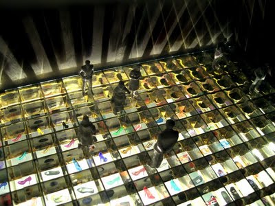 Mangrolia Chausseures by Visiondivision