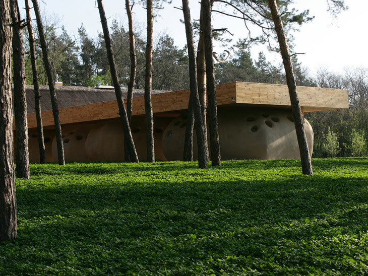 Friendhouse the Orel’ River by Ryntovt Design