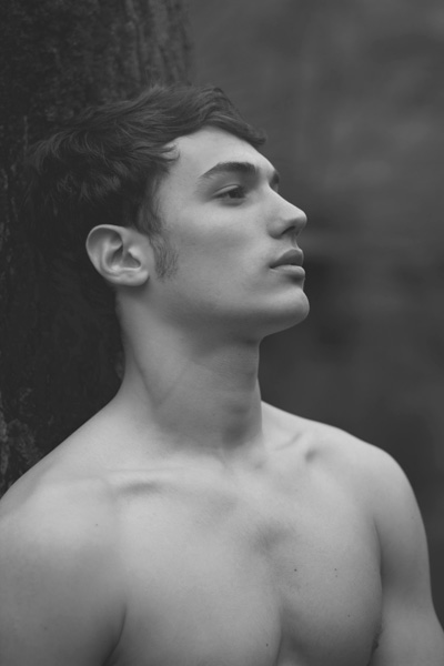 Sokol by Andy Long Hoang