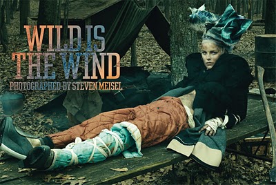 Wild Is The Wind by Steven Meisel