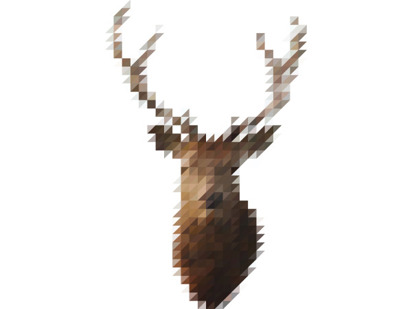 The Sliced Pixel Project by Victor van Gaasbeek