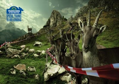 Transylvania Off Road Competition