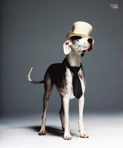 VMAN How To Accessorize