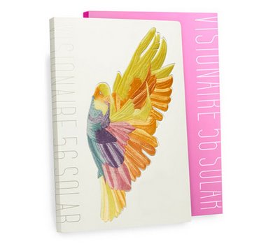 Visionaire 56 : Solar