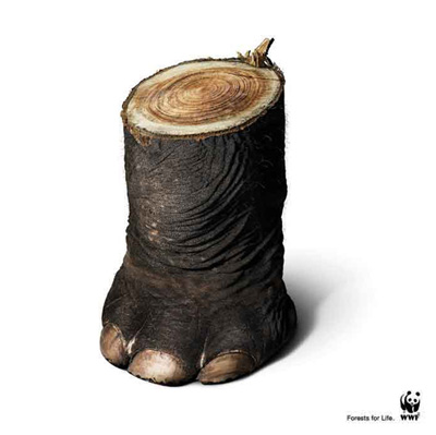 WWF Forests For Life by Ogilvy & Mather