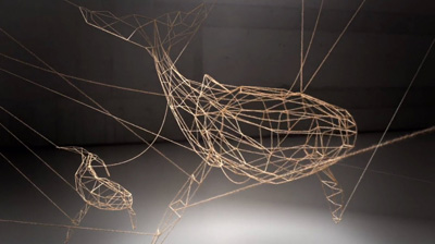 We Are All Connected by WWF