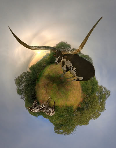 Wee planets by Alexandre Duret-Lutz