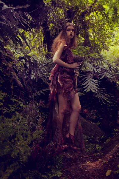 Wild Flower by Surachai Saengsuwan