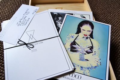 A Show Package Box from Wilhelmina