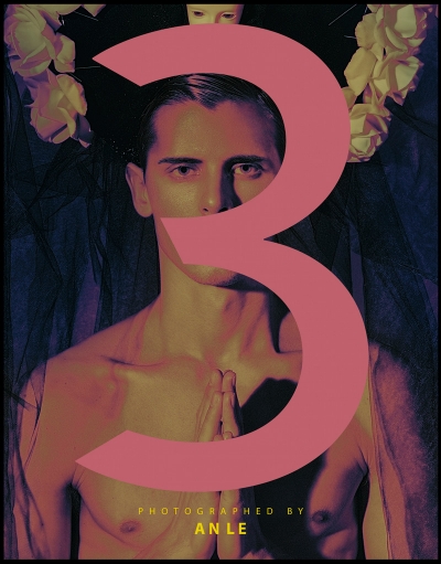 3 by An Le for Faint Magazine