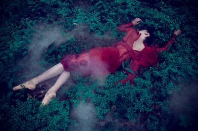 This is Not Wonderland by Aleksandra Zaborowska