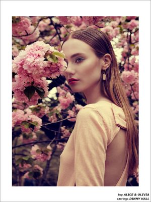 Cherry Blossom by Luzena Adams