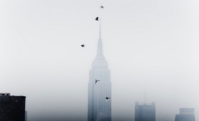 The Stunning New York Through The Lens Of Paul McGeiver