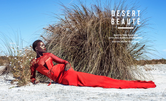 Desert Beauté by Tom Wawnik for DESIGN SCENE