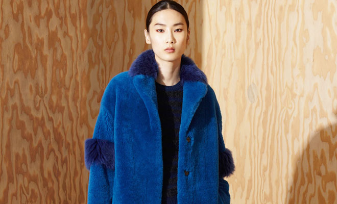 Discover Bottega Veneta Pre-Fall 2016 Women’s Collection