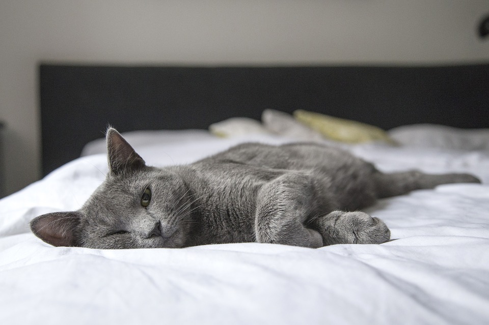 The Unsung Hero of Your Home