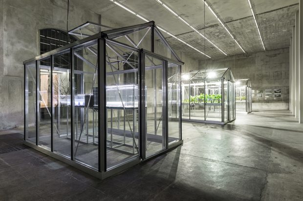 ART SCENE: Legal Advice for Art Gallery Owners