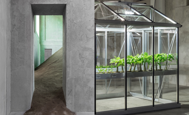 FONDAZIONE PRADA Presents: Slight Agitation 2/4 by Pamela Rosenkranz and Extinct in the Wild by Michael Wang