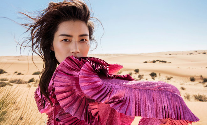 Liu Wen