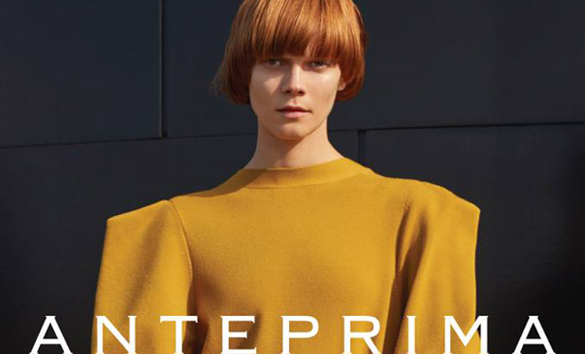Anteprima