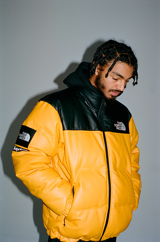 Supreme x The North Face Fall Winter 2017 Collection