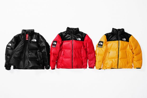 supreme north face 2017