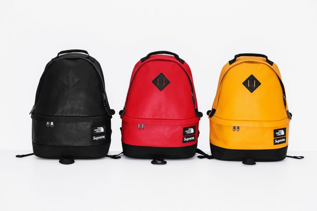 supreme north face 2017