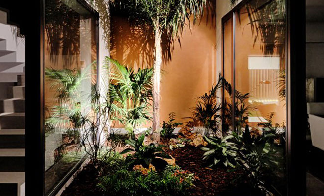 Redesigning Your Garden on a Budget