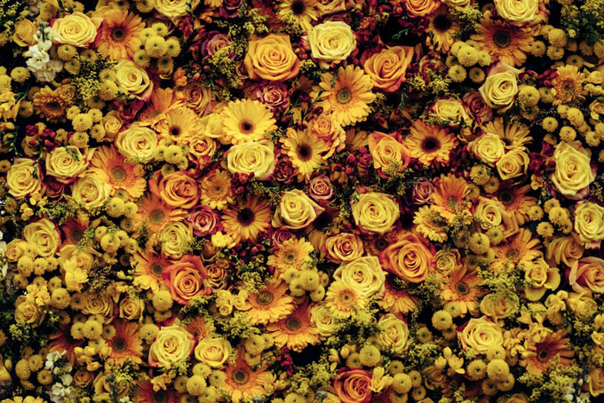 Crafty Garden Tricks To Rejuvenate Your Outdoors Space