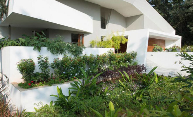 Creating the Lawn and Garden You Always Wanted