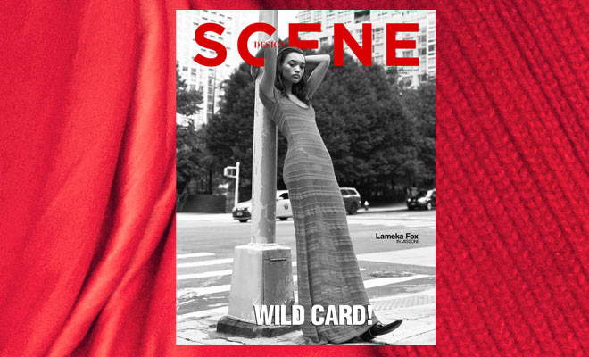 LAMEKA FOX COVERS DESIGN SCENE #027 ISSUE
