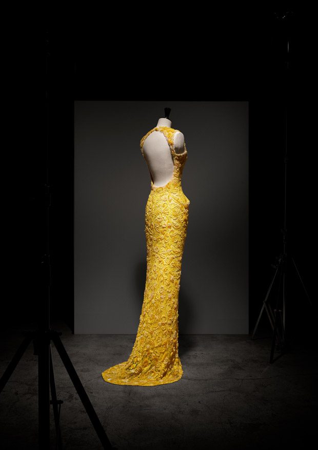 DISCOVER DIOR by GIANFRANCO FERRE BOOK