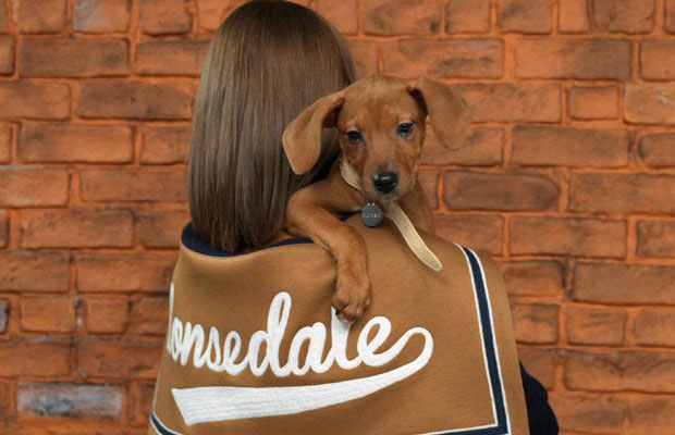 3 Ways Pet Owners Lavish Their Favorite Furry Friends