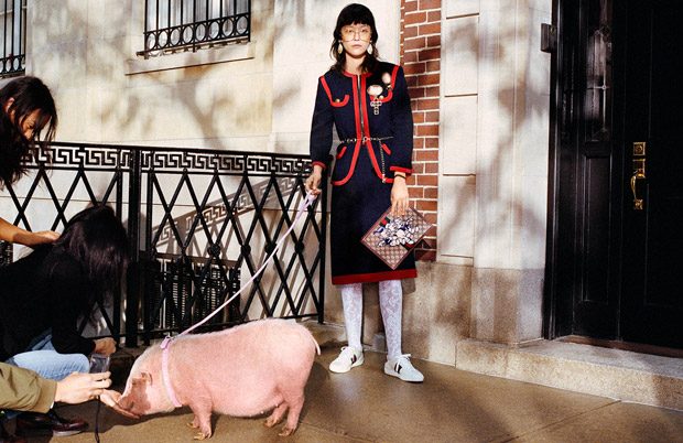 gucci disney collection pig