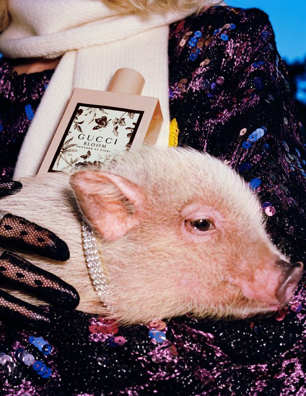 Louis Vuitton Year Of The Pig Pendant Capsule Collection