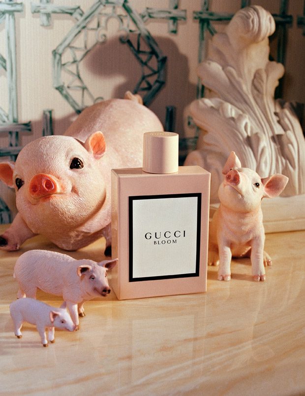 gucci brooch pig