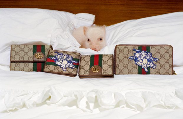 GUCCI