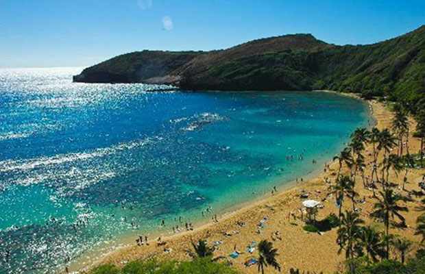 DESIGN SCENE TRAVEL: Top Spots for a Photo in Honolulu