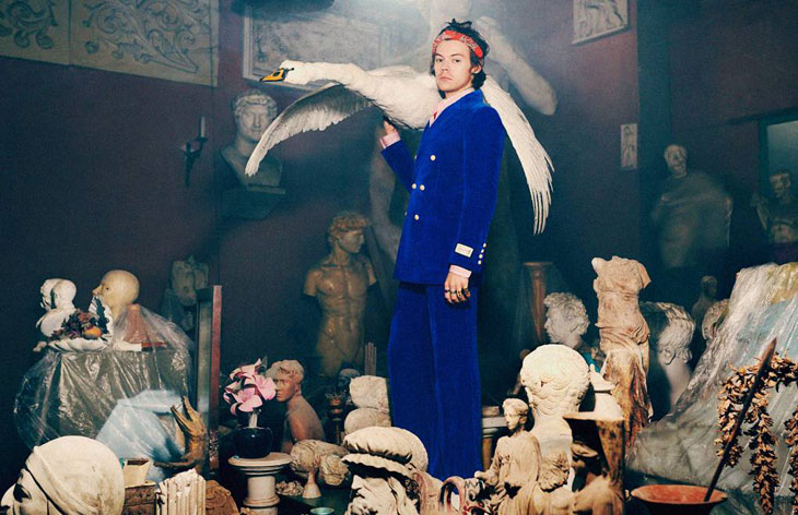 Harry Styles is Back for Gucci Tailoring