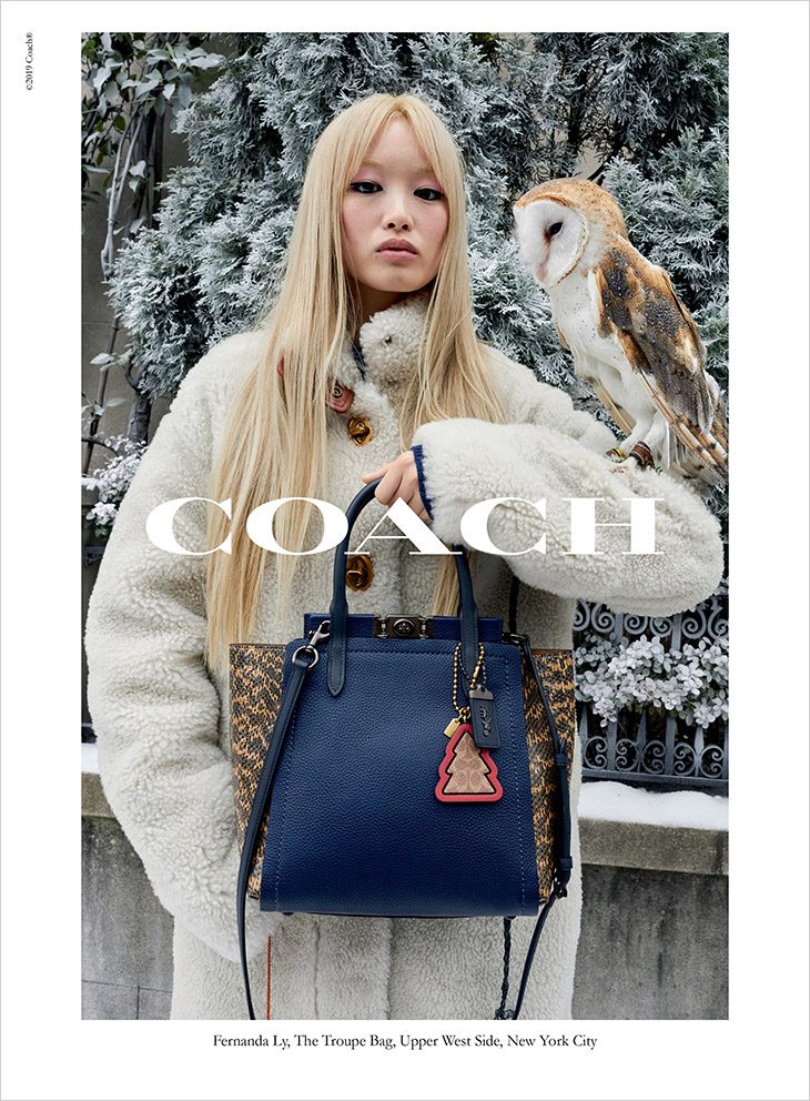 Coach Holiday 2019