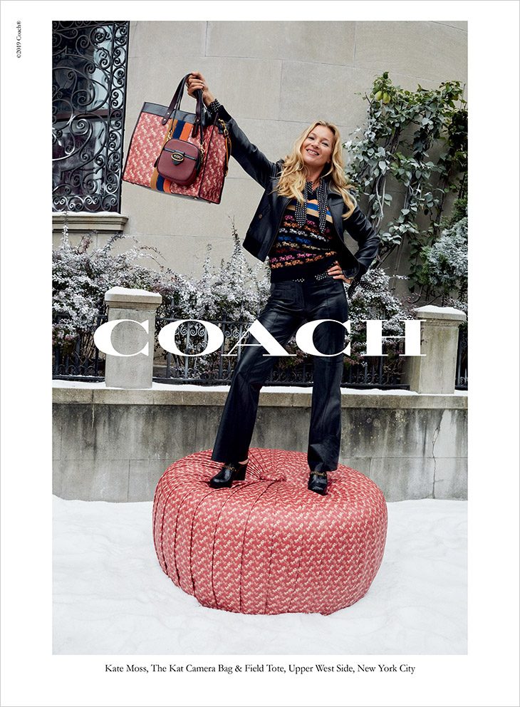 Coach Holiday 2019