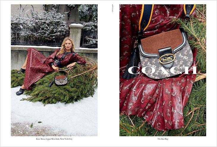 Coach Holiday 2019