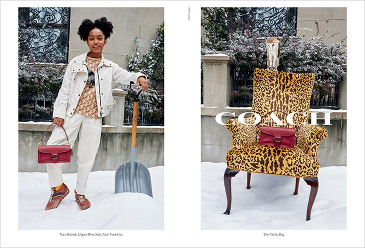 Coach Holiday 2019