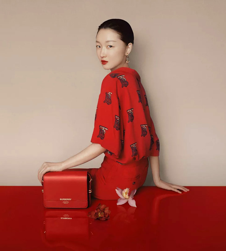 zara chinese new year collection 2019
