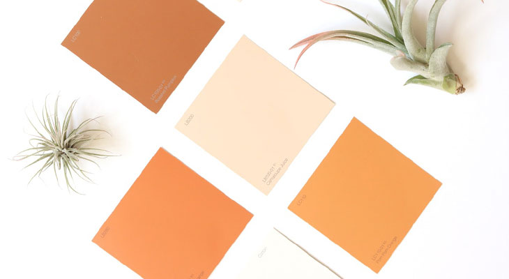 DESIGNS SCENE HOME: Top Living Room Colors