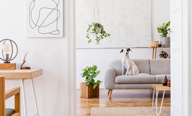 Living Room Design: Create the Perfect Lounge