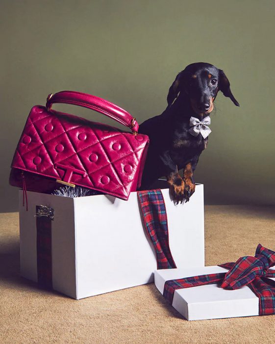 A Pawfect Holiday: Tod's Celebrates True Friendship with Festive 2020 ...